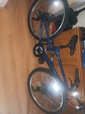 Apollo Creed Junior Mountain